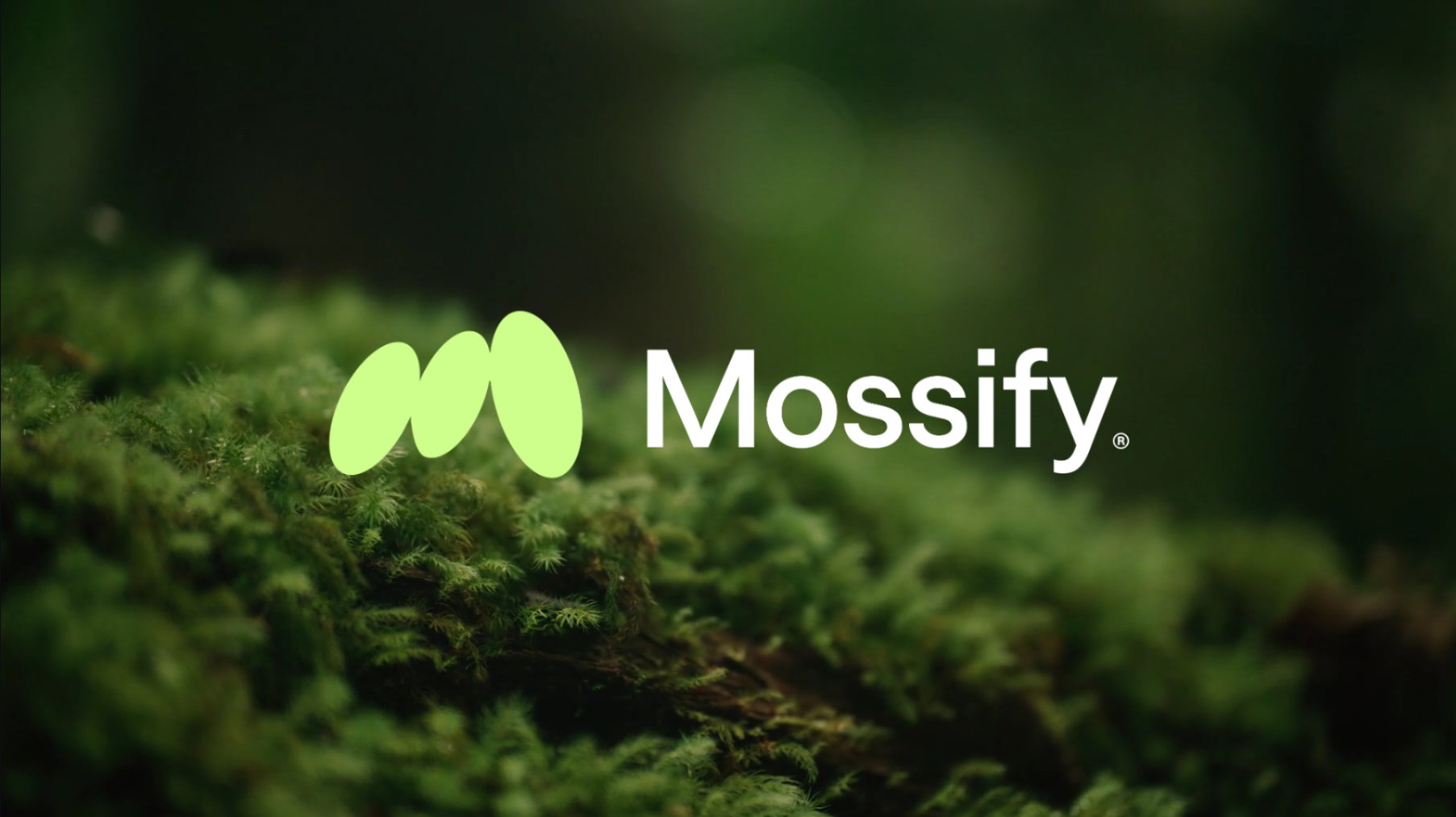 Mossify Design Logo